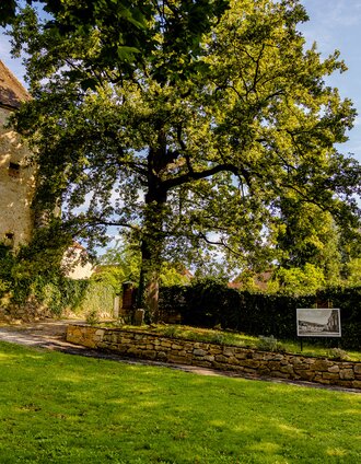Stadtpark Hartberg in der Oststeiermark | Spekner | © Oststeiermark Tourismus