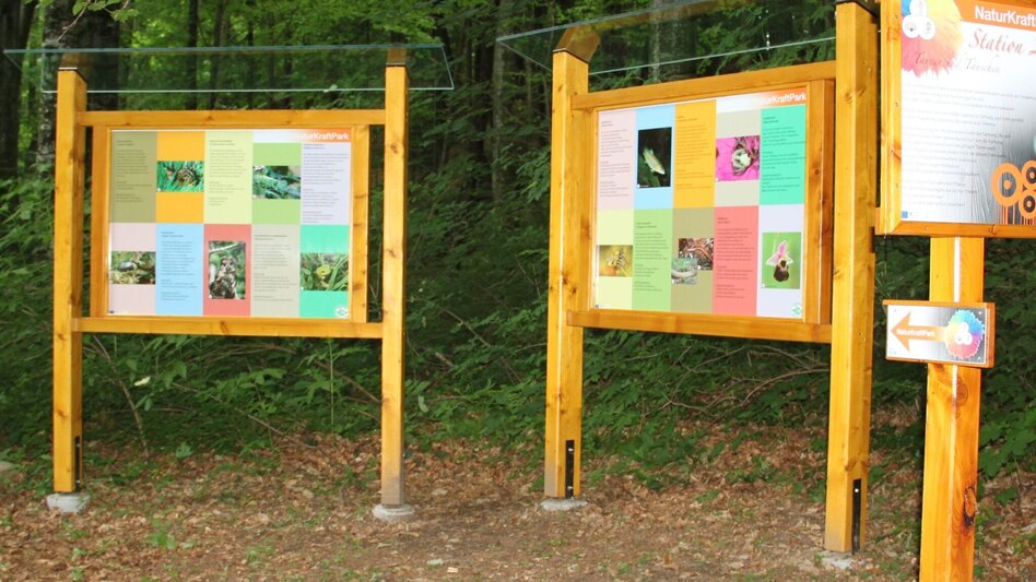 Themed Nature Trail NaturKRAFTpark in the Hinterbrühl - Touren-Impression #2.7 | © Oststeiermark Tourismus