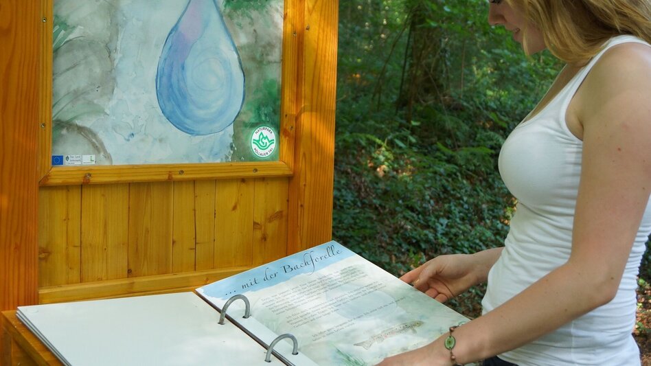Themed Nature Trail NaturKRAFTpark in the Hinterbrühl - Touren-Impression #2.9 | © Oststeiermark Tourismus