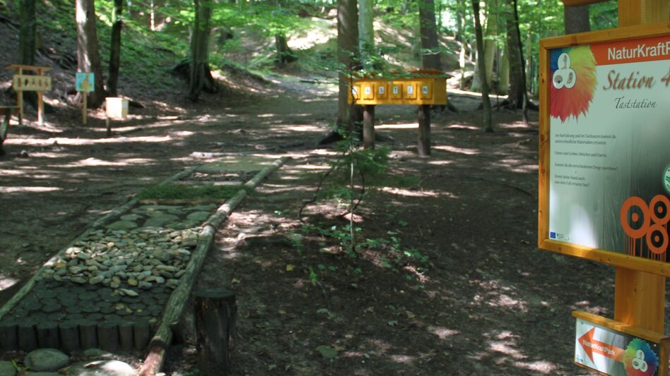 Themed Nature Trail NaturKRAFTpark in the Hinterbrühl - Touren-Impression #2.8 | © Oststeiermark Tourismus