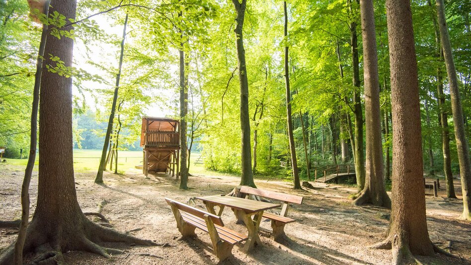 Themed Nature Trail NaturKRAFTpark in the Hinterbrühl - Touren-Impression #2.10 | © Helmut Schweighofer