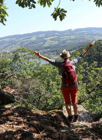 Vulture wall with view of Stubenbergsee, eastern Styria | © Oststeiermark Tourismus | (c) WEGES | © Oststeiermark Tourismus