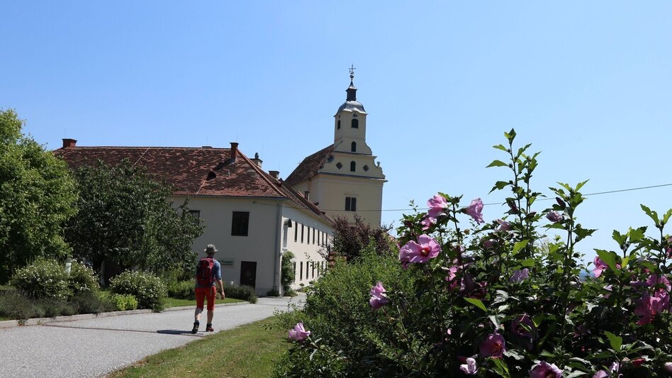 Hiking Route Vulture Wall Trail - Touren-Impression #2.10 | © Oststeiermark Tourismus