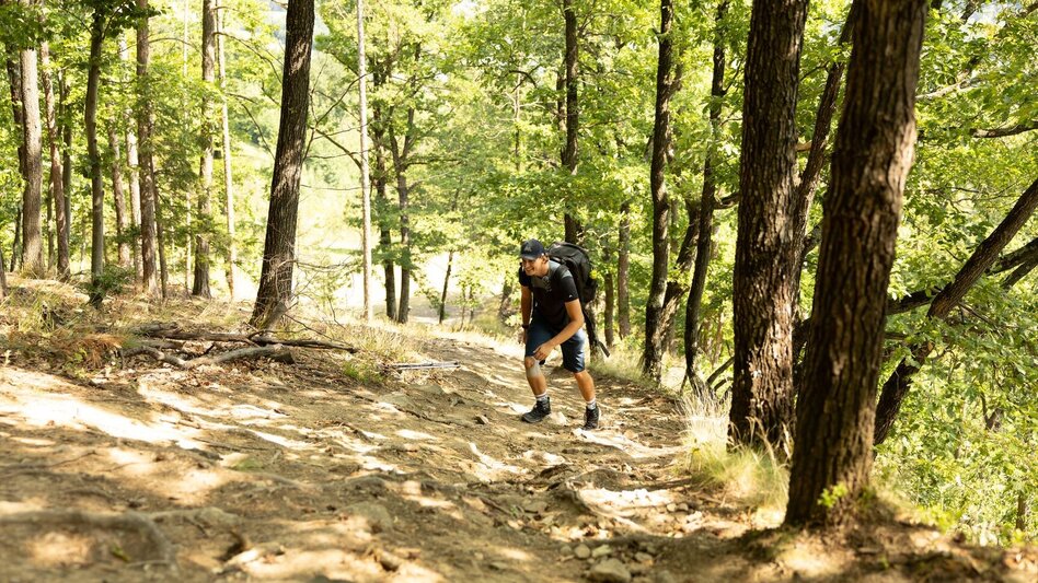 Wanderung Geierwand-Runde, Stubenberg - Touren-Impression #2.3 | © Oststeiermark Tourismus