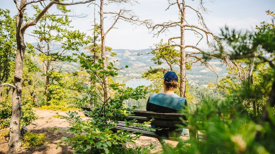 Wanderung Geierwand-Runde, Stubenberg - Touren-Impression #2.8 | © Oststeiermark Tourismus