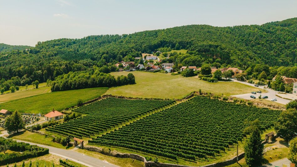 Wanderung Geierwand-Runde, Stubenberg - Touren-Impression #2.16 | © Oststeiermark Tourismus
