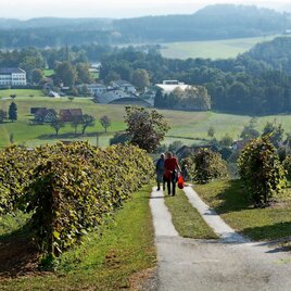 Blick zum Schloss Schielleiten, Stubenberg am See in der Oststeiermark | © Oststeiermark Tourismus