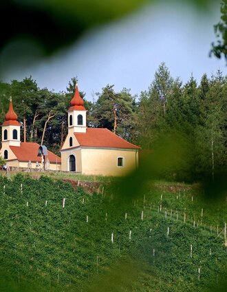 Weinberg mit Blick auf das Hl.Grab | Christian  Strassegger | © Oststeiermark Tourismus
