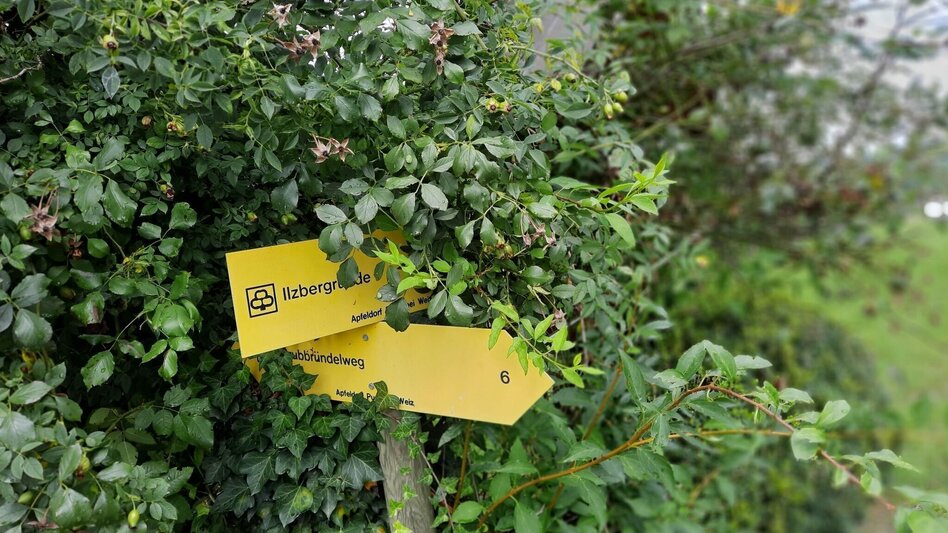 Hiking Route Ilzbergrunde, Puch bei Weiz - Touren-Impression #2.7 | © Oststeiermark Tourismus