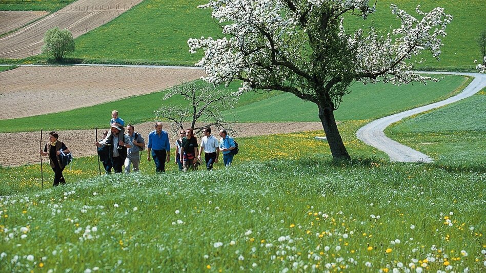 Themen- und Lehrpfad Tramway, Puch bei Weiz - Touren-Impression #2.1 | © Oststeiermark Tourismus