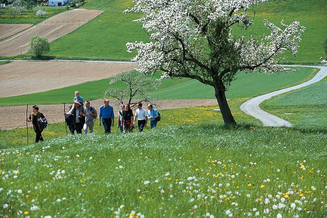 Themen- und Lehrpfad Tramway, Puch bei Weiz - Touren-Impression #1 | © Oststeiermark Tourismus