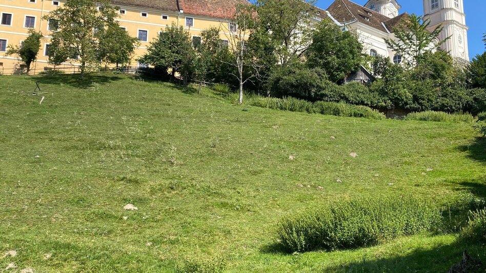 Themed Nature Trail Spiritual Path, Weiz - Touren-Impression #2.10 | © Oststeiermark Tourismus