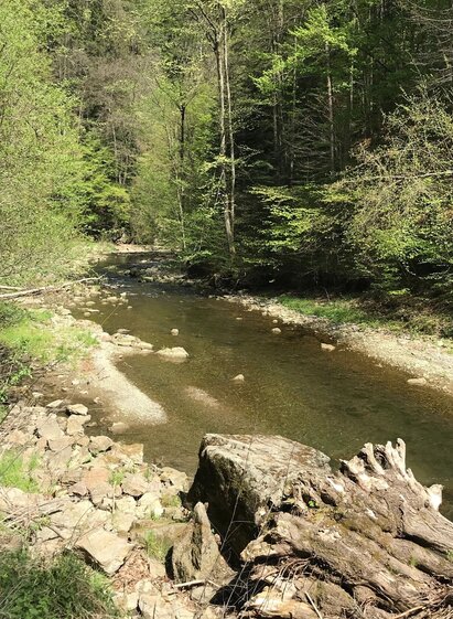 Kleine Raabklamm | © Oststeiermark Tourismus | Lara Fani | © Oststeiermark Tourismus