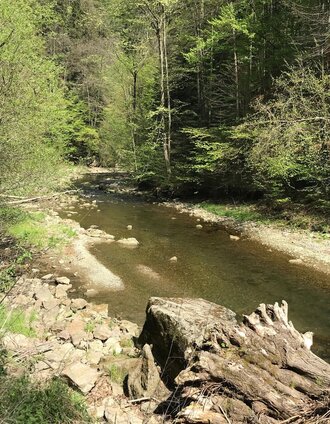 Kleine Raabklamm | Lara Fani | © Oststeiermark Tourismus