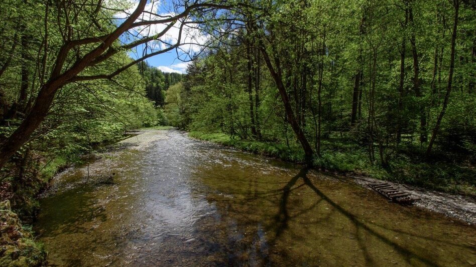 Hiking Route Small Raabklamm, Mortantsch - Touren-Impression #2.2 | © Oststeiermark Tourismus