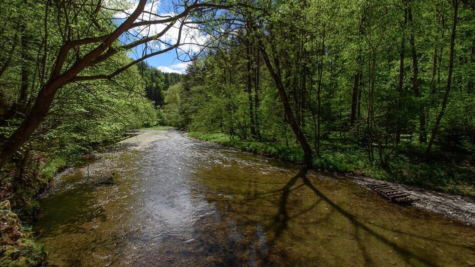 Hiking Route large raab gorge, Mortantsch - Touren-Impression #2.2 | © Oststeiermark Tourismus