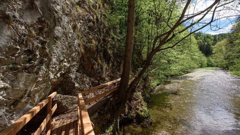 Hiking Route large raab gorge, Mortantsch - Touren-Impression #2.3 | © Oststeiermark Tourismus