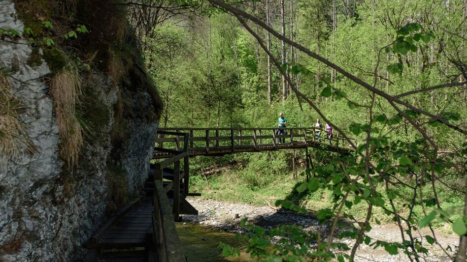 Hiking Route large raab gorge, Mortantsch - Touren-Impression #2.4 | © Oststeiermark Tourismus