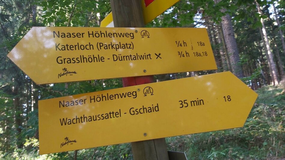 Wanderung Naaser Höhlenweg - Touren-Impression #2.7 | © Oststeiermark Tourismus