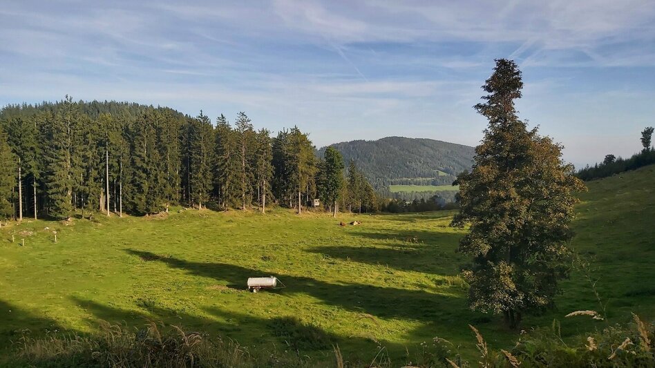 Wanderung Naaser Höhlenweg - Touren-Impression #2.4 | © Oststeiermark Tourismus
