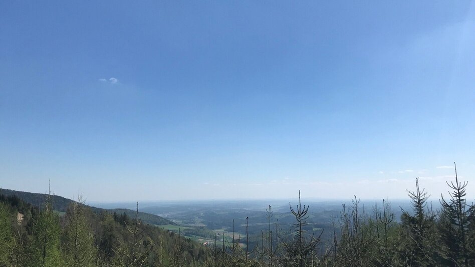 Hiking Route Gösser and Lärchsattel - Touren-Impression #2.3 | © Oststeiermark Tourismus