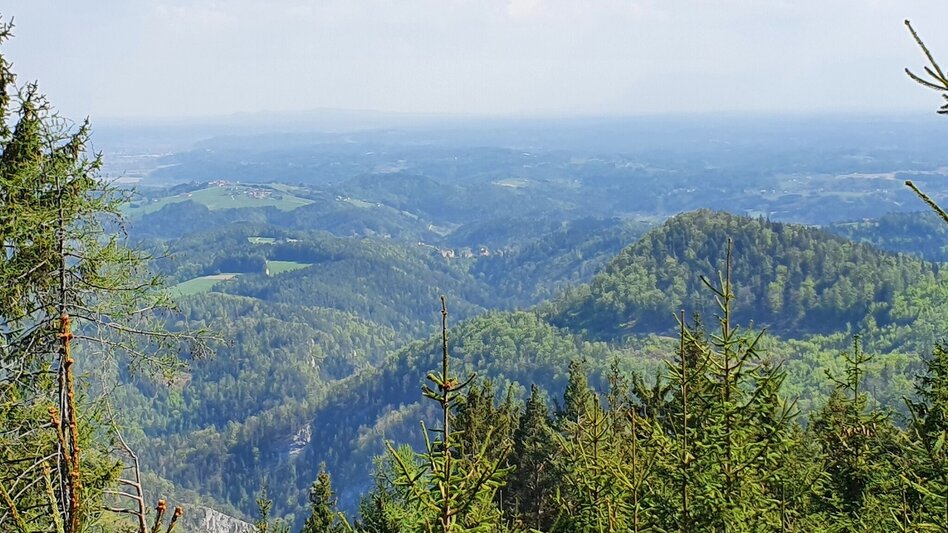 Hiking Route Gösser and Lärchsattel - Touren-Impression #2.5 | © Oststeiermark Tourismus