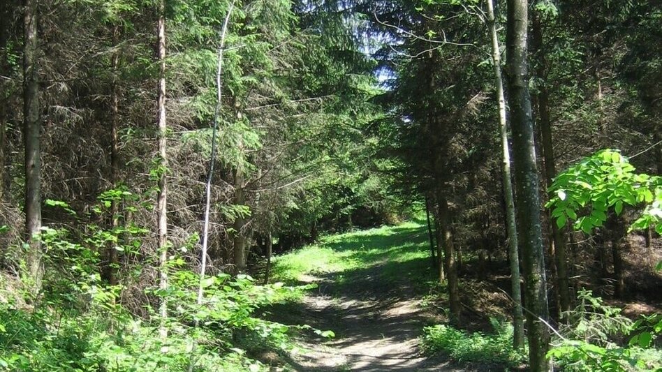 Wanderung Mariazellerweg zur Brandlucken - Touren-Impression #2.1 | © Oststeiermark Tourismus