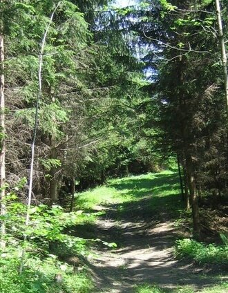 Teil des Mariazellerweges_Oststeiermark | © Oststeiermark Tourismus