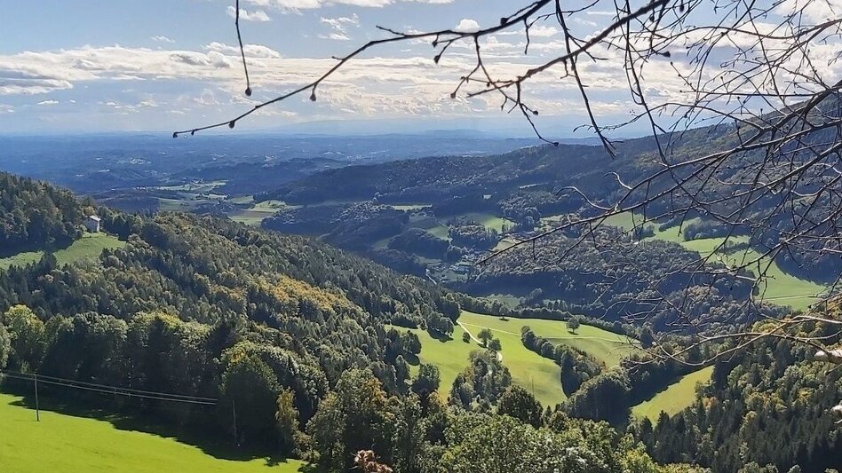 Wanderung Eibisberg über Ponigl - Touren-Impression #2.4 | © Oststeiermark Tourismus