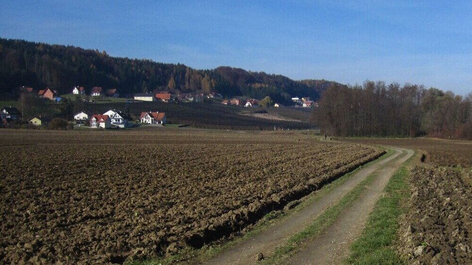 Jogging St. Ruprecht - Hobby running track - Touren-Impression #2.3 | © Oststeiermark Tourismus