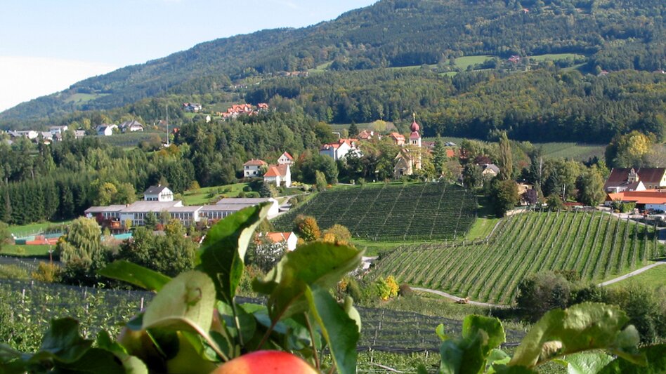 Panoramatouren/Themenstraßen Steirische Apfelstraße  " Eine Reise ins Paradies" - Touren-Impression #2.1 | © Tourismusverband Oststeiermark