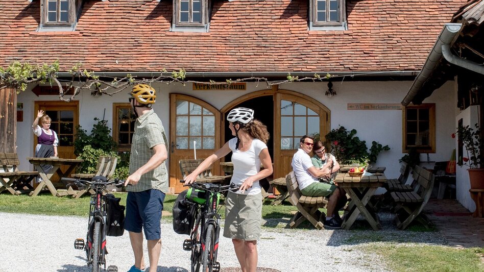 Panoramatouren/Themenstraßen Steirische Apfelstraße  " Eine Reise ins Paradies" - Touren-Impression #2.7 | © Oststeiermark Tourismus