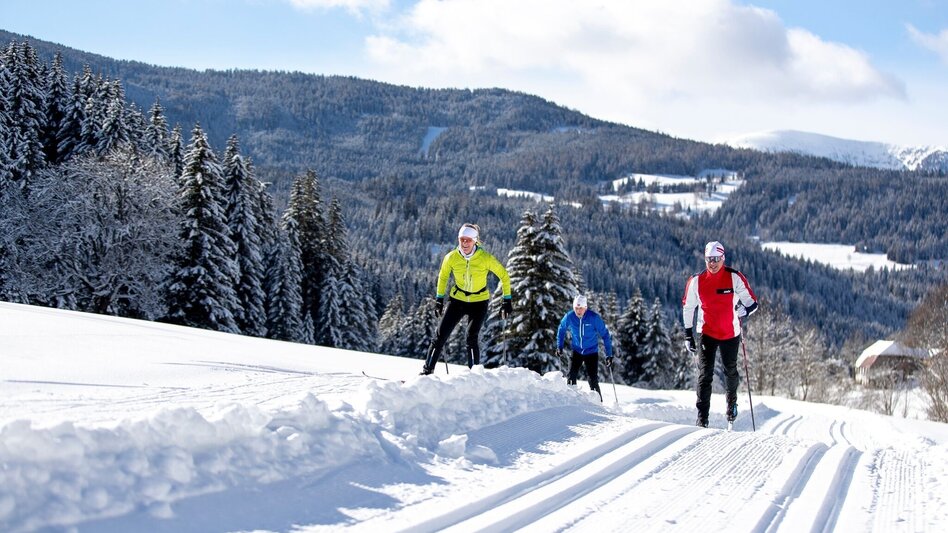 Ski-Nordic Skating Murtalloipe - Touren-Impression #2.2 | © Tourismusverband Murau