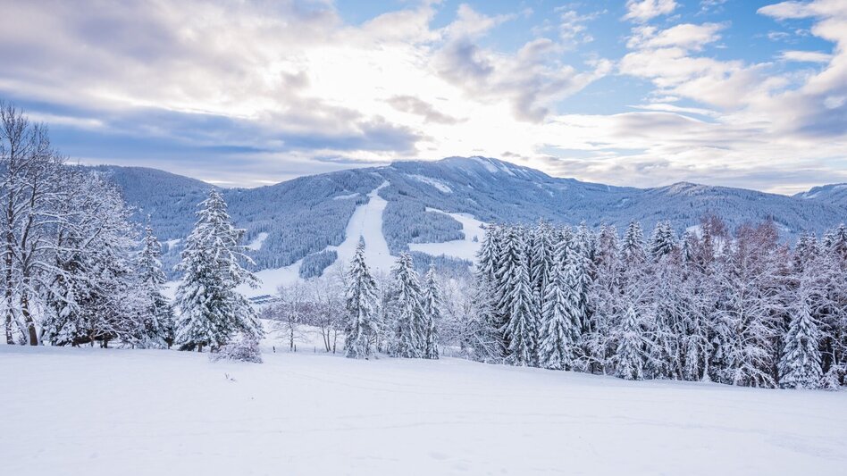 Snowshoe Walking Area shelter - Touren-Impression #2.1 | © Tourismusverband Murau