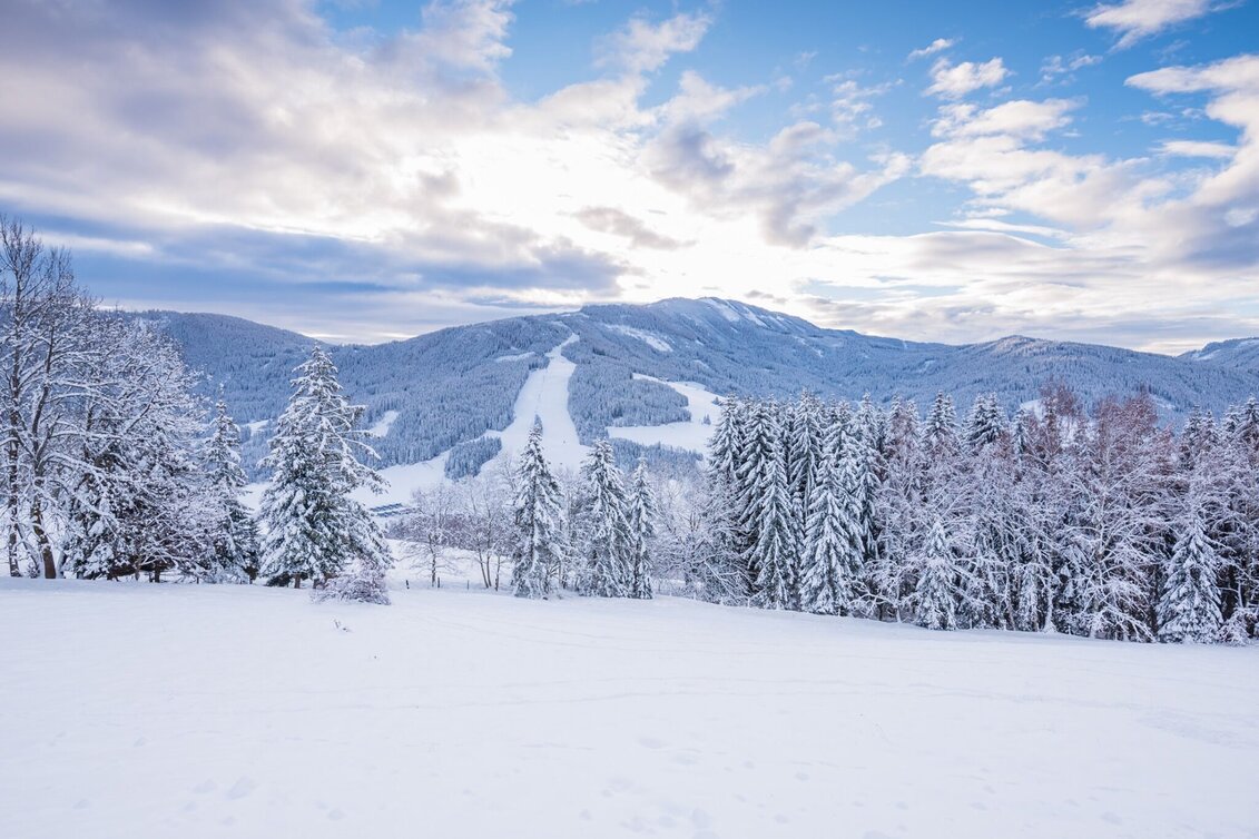 Snowshoe Walking Area shelter - Touren-Impression #1 | © Tourismusverband Murau