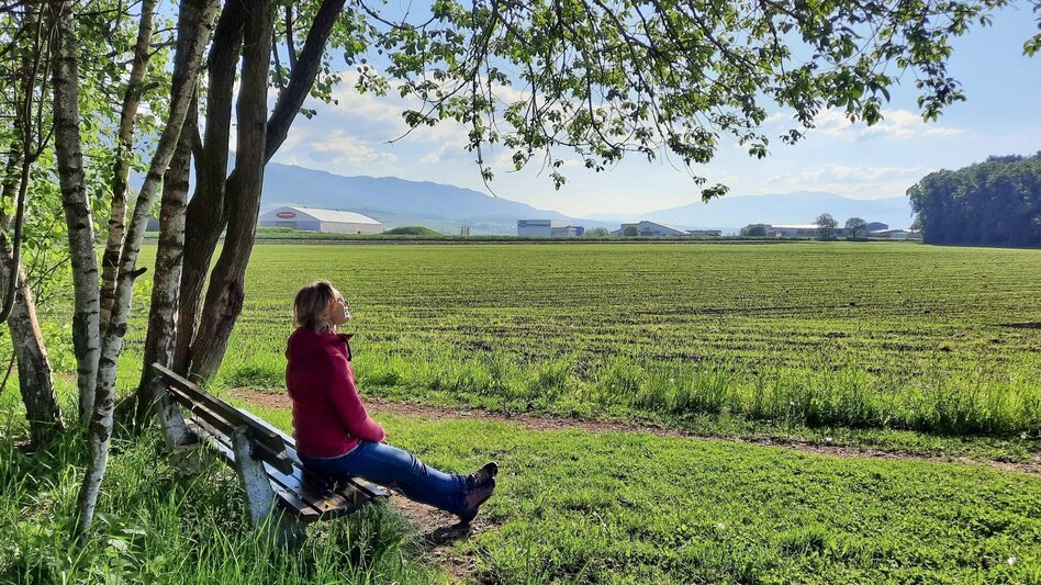 Themen- und Lehrpfad Natur-Historien-Lehrpfad in Fohnsdorf - Touren-Impression #2.1 | © Weges OG