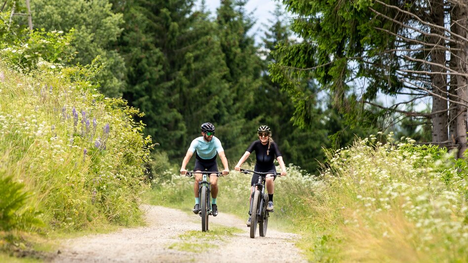 Mountainbike Tour H2 -MTB - Triebenstein - Touren-Impression #2.5 | © Erlebnisregion Murtal