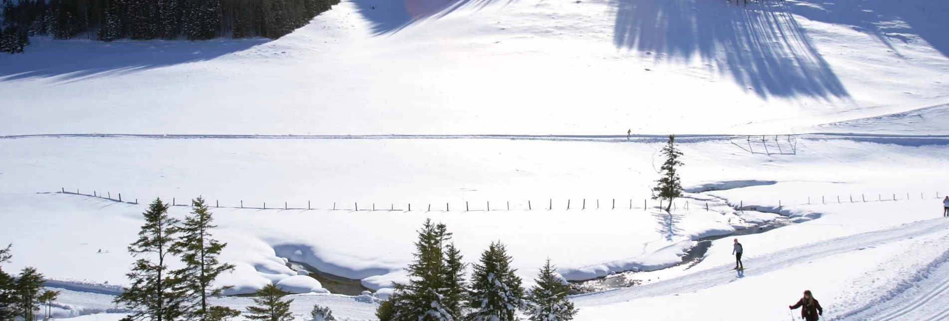 Cross-Country Skiing Sommeralm-Cross-country ski trail, Almenland - Touren-Impression #1 | © TVB Oststeiermark