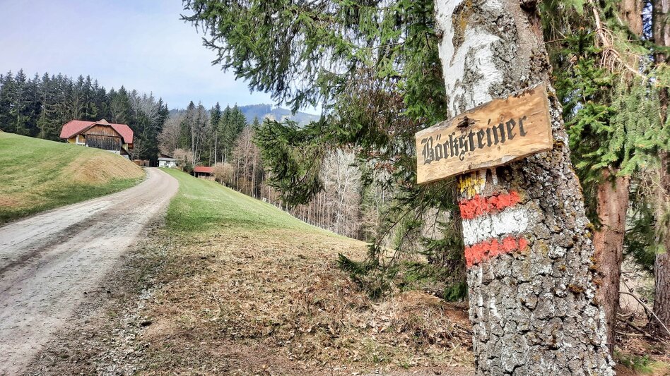 Hiking Route Tremmelberg "Tower in the mountains" from Knittelfeld - Touren-Impression #2.8 | © Weges OG