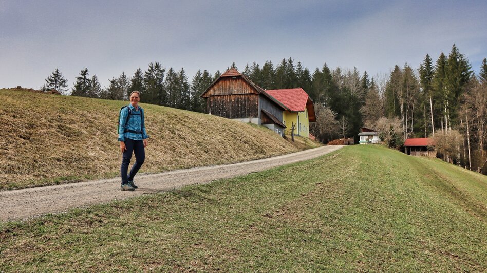 Hiking Route Tremmelberg "Tower in the mountains" from Knittelfeld - Touren-Impression #2.9 | © Weges OG