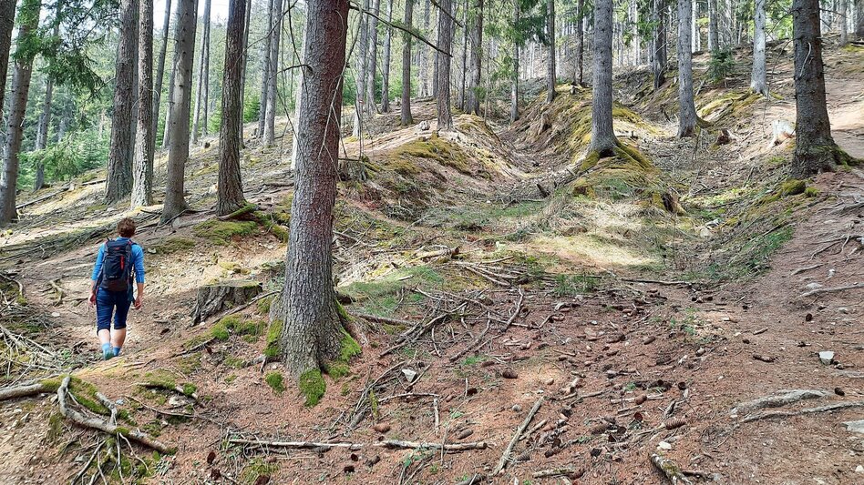 Hiking Route Tremmelberg "Tower in the mountains" from Knittelfeld - Touren-Impression #2.10 | © Weges OG