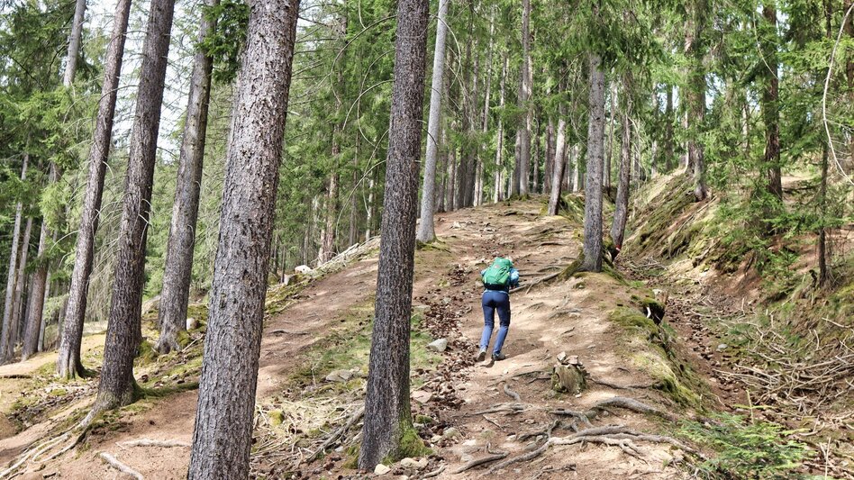 Hiking Route Tremmelberg "Tower in the mountains" from Knittelfeld - Touren-Impression #2.11 | © Weges OG