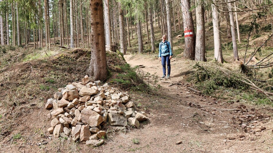 Hiking Route Tremmelberg "Tower in the mountains" from Knittelfeld - Touren-Impression #2.13 | © Weges OG