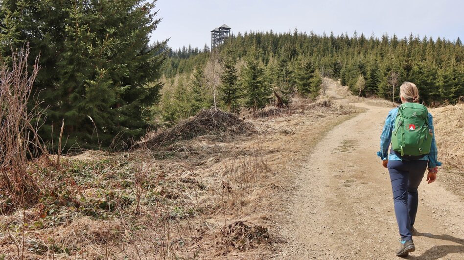 Hiking Route Tremmelberg "Tower in the mountains" from Knittelfeld - Touren-Impression #2.14 | © Weges OG