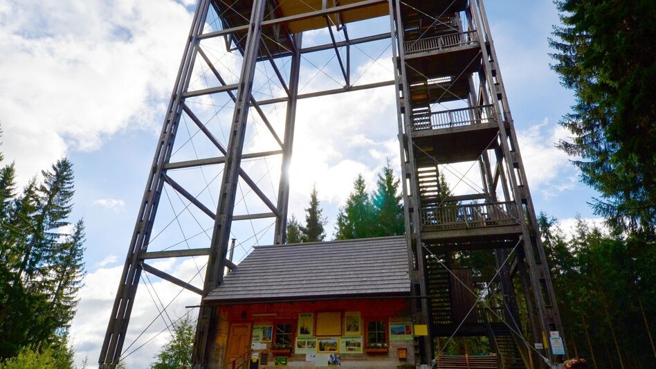 Hiking Route Tremmelberg "Tower in the mountains" from Knittelfeld - Touren-Impression #2.15 | © Erlebnisregion Murtal