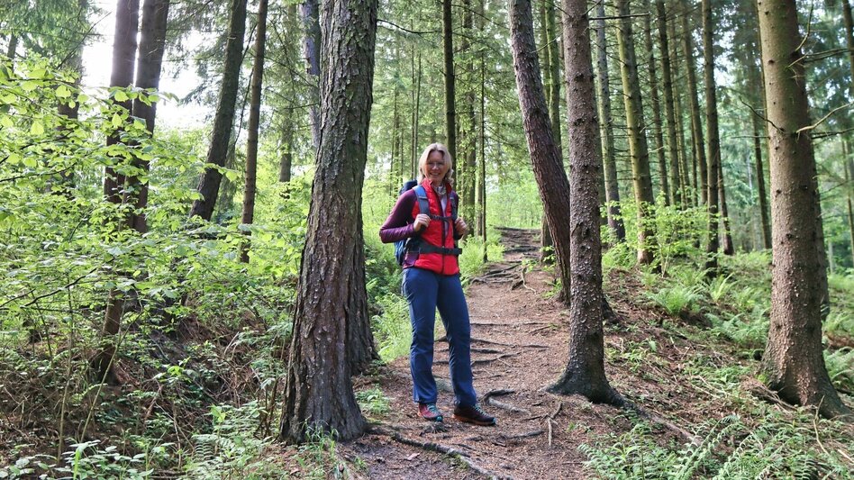 Wanderung Steinplan über Papst Pirschtling - Touren-Impression #2.4 | © Weges OG