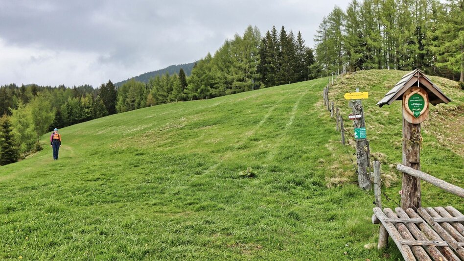 Wanderung Steinplan über Papst Pirschtling - Touren-Impression #2.7 | © Weges OG