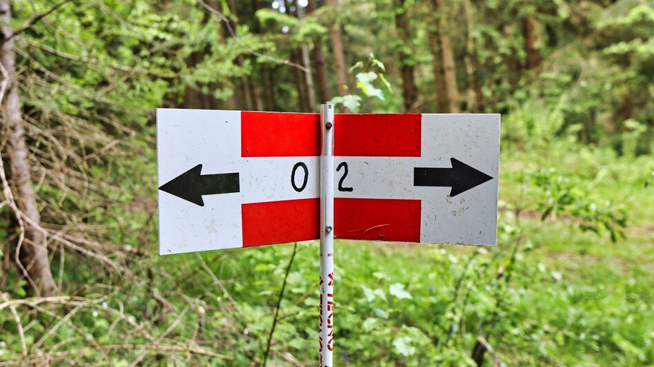 Wanderung Steinplan über Papst Pirschtling - Touren-Impression #2.5 | © Weges OG