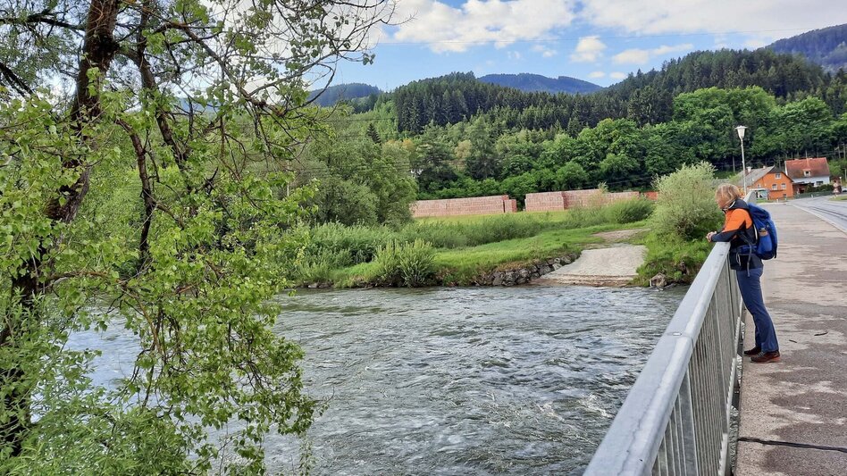 Wanderung Steinplan über Papst Pirschtling - Touren-Impression #2.3 | © Weges OG