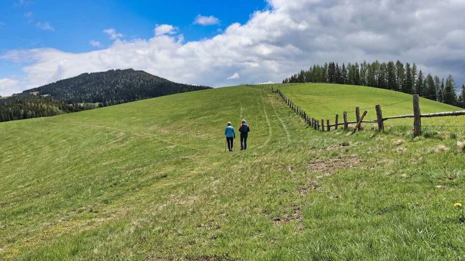 Wanderung Steinplan über Papst Pirschtling - Touren-Impression #2.8 | © Weges OG